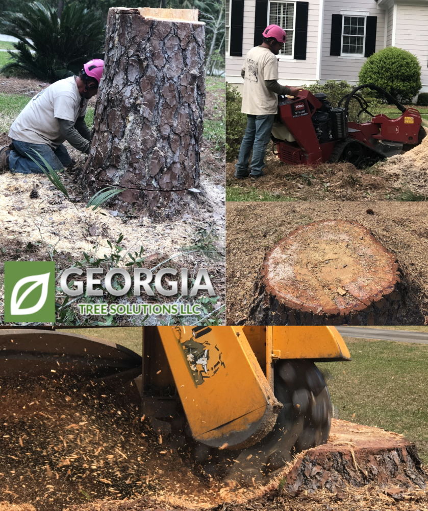 Stump Grinding - Savannah Georgia Tree Services