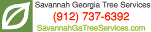 Savannah Georgia Tree Services